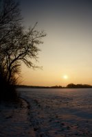 IMG_7188.jpg