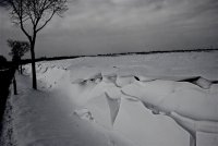 IMG_7281.JPG