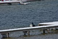 IMG_7218.jpg