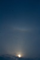 IMG_7316.jpg