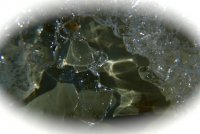 IMG_7396.jpg