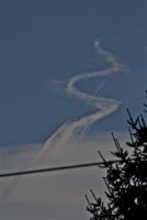 IMG_5224.jpg