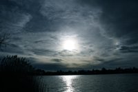 IMG_7753.JPG