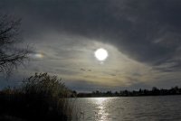 IMG_7706.jpg