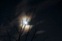 IMG_8159.jpg