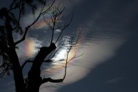 IMG_8147.jpg