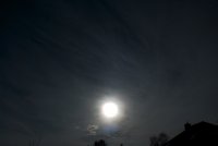 IMG_8465.jpg