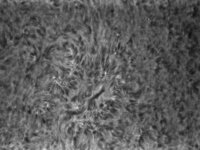 150_1200_4fach_05red-sonne-alpha 18-04-07 11-25-14.jpg