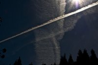 IMG_8862.jpg