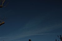 IMG_8842.jpg