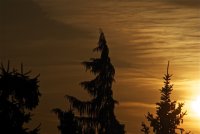 IMG_9023.jpg
