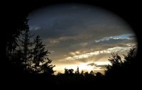 IMG_9366.jpg