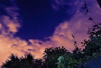 Wolken im Garten.jpg