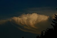 IMG_8167.JPG