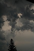 IMG_8261.jpg