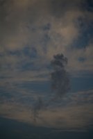 IMG_8235.jpg