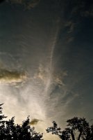 IMG_8306.jpg