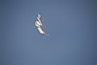 IMG_8447.JPG