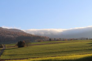 IMG_0091.JPG
