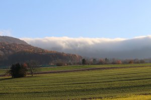 IMG_0093.JPG