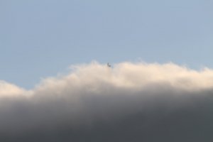 IMG_0096.JPG
