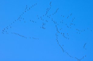 IMG_8129 (2).jpg
