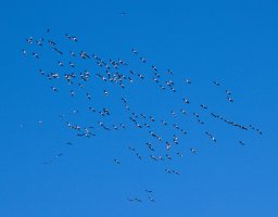 IMG_8123 (2).jpg