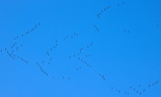 IMG_8147 (2).jpg