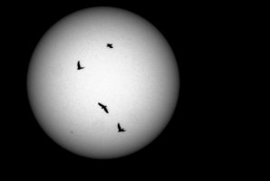 SONNE_093505_20200621_Weisslicht_0129.jpg