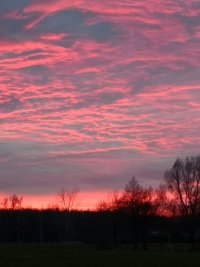 IMG_20191229_163530.jpg