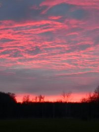 IMG_20191229_163543.jpg