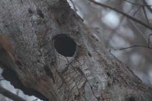 IMG_0007.JPG