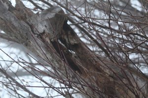 IMG_0011.JPG