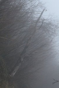 IMG_0014.JPG