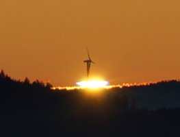 Green Flash_2.jpg