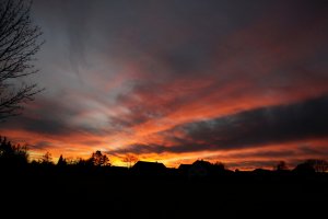 _MG_7729.JPG