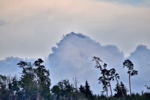 DSC_3633_a.JPG