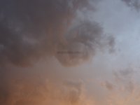 P8011629 Vortex fc.jpg