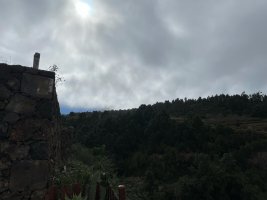 IMG_2280X.JPG