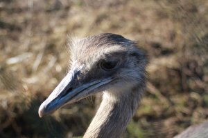 IMG_0020.JPG