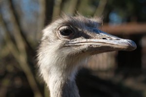 IMG_0025.JPG