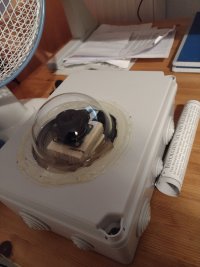 IMG_20220131_195201062.jpg