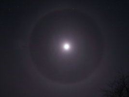 IMG_0567_7.jpg