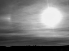 IMG_20220212_154510~3.jpg