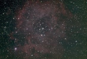 Rosette.25x5min.jpg