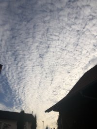 8A7719CF-ED8F-44A0-BF75-B5D10C078EB5.jpeg