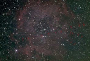 Rosette.25x5min.getreift.jpg