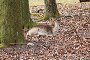 IMG_0012 (2).JPG