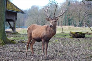 IMG_0029 (2).JPG