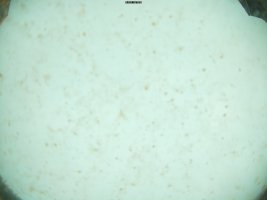 liveview-image-k.jpg
